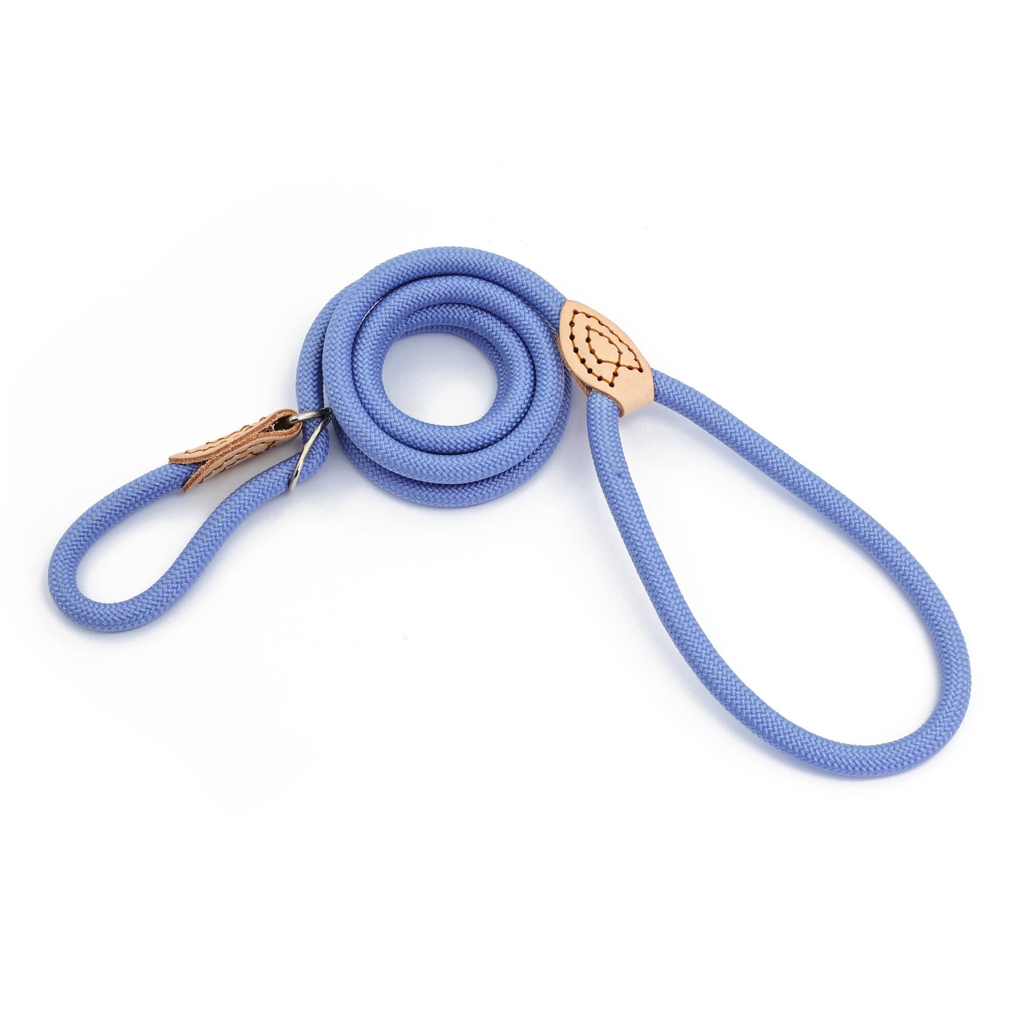 Assorted 5ft. Pet Leash, 1pc. by Fab Finds